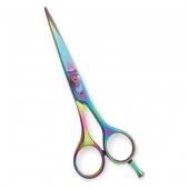 Professional Hair Cutting Scissors